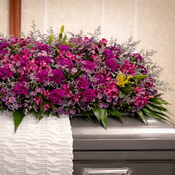 Plum purple