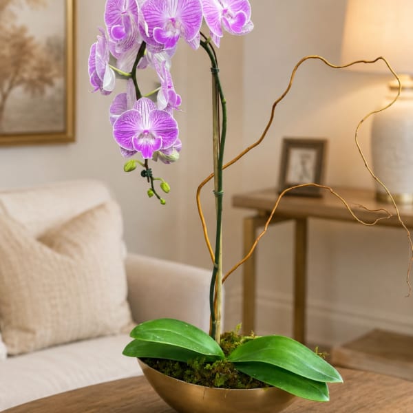 Purple orchid in a shallow gold bowl on a table