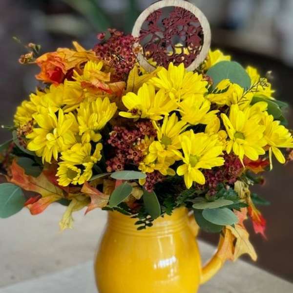 Yellow fall pitcher