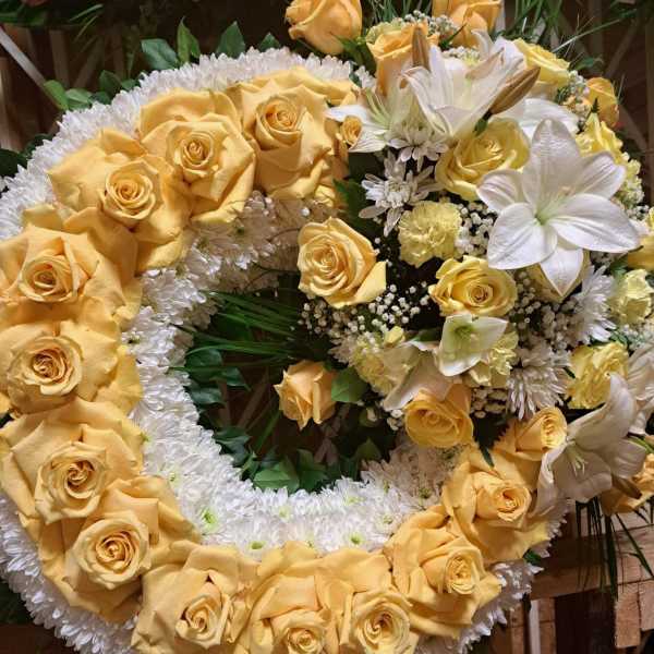 Yellow roses