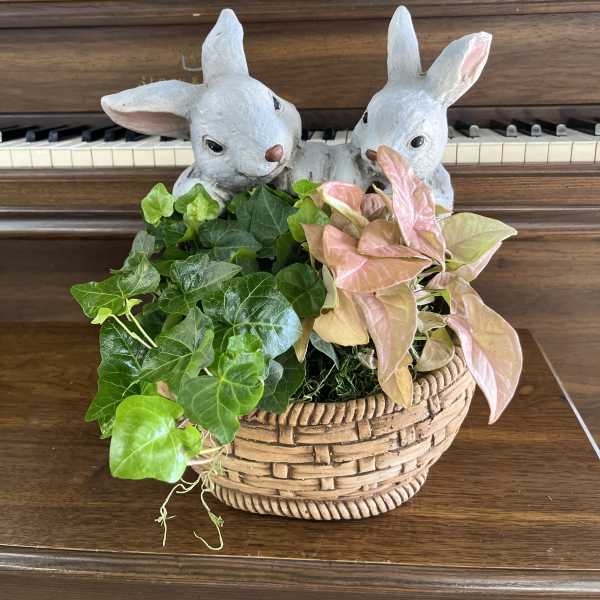 Hopping In The Garden