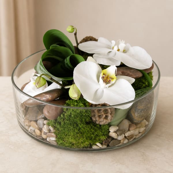 White orchids arranged in a glass bowl with moss and stones