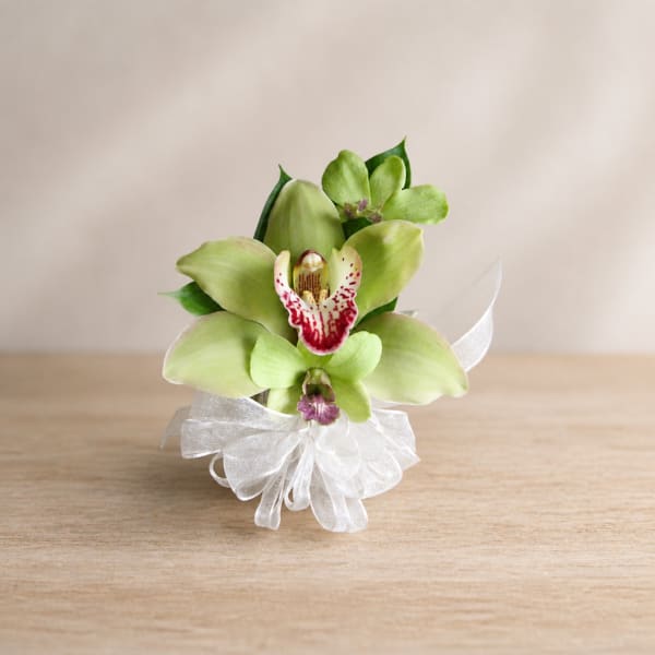 Green orchid corsage with a white ribbon bow