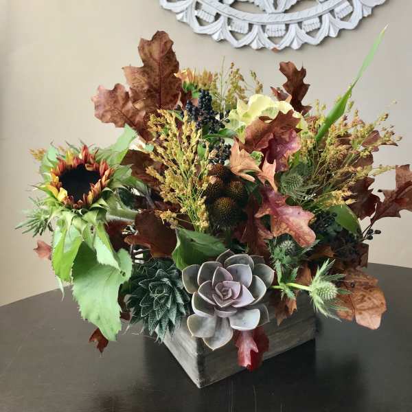 We Love Fall & Succulents