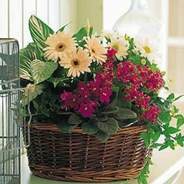 Mixed flowers in a wicker basket with pink and cream blooms