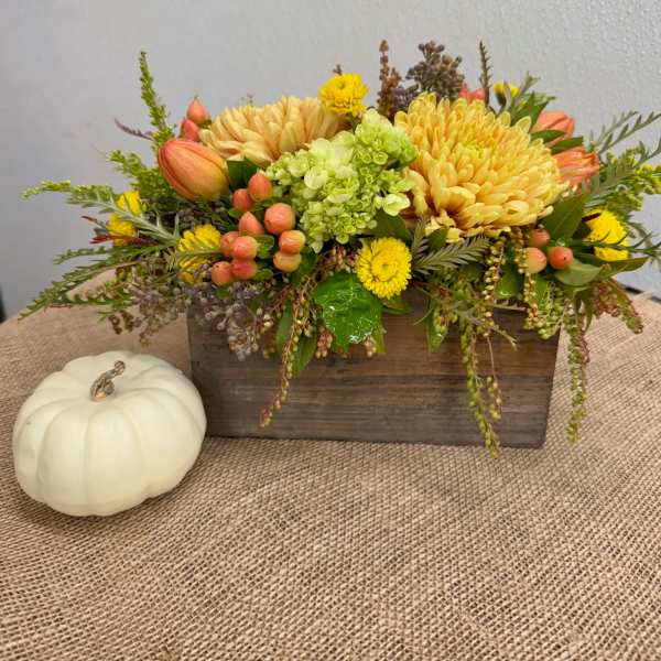 Soft Autumn