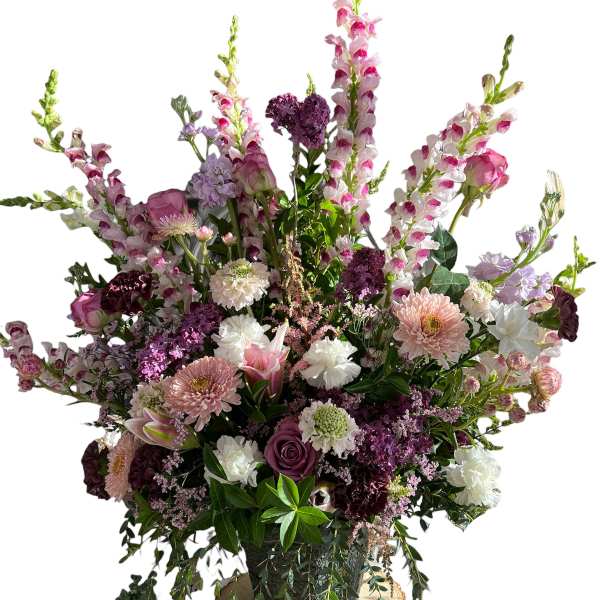 Purple Sympathy