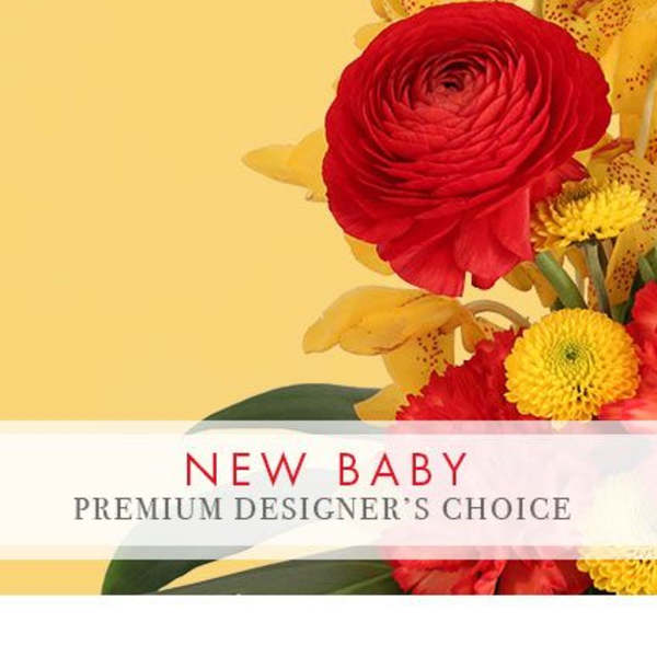Precious New Baby Premium Designer's Choice