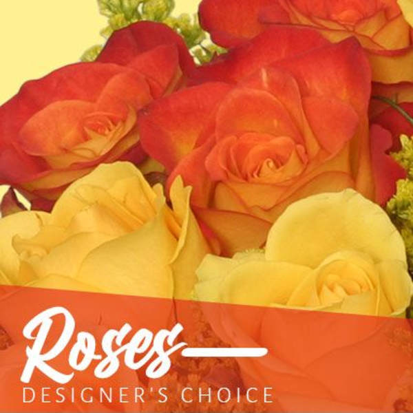 Beautiful Roses Designer's Choice