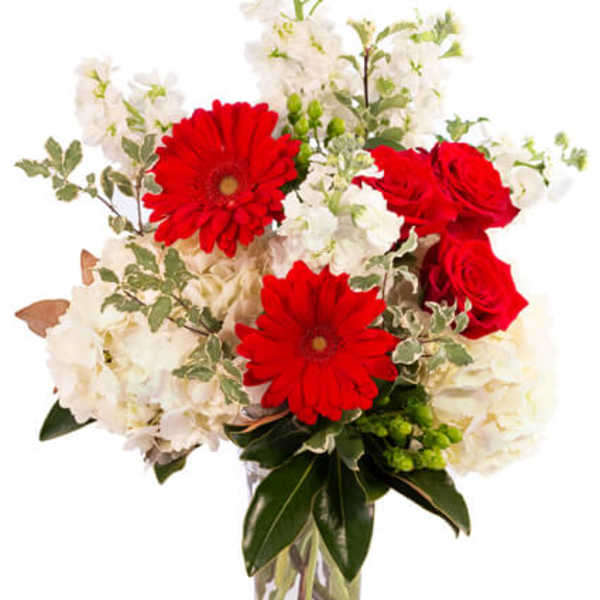 Red gerbera daisies and roses in a clear glass vase with white flowers