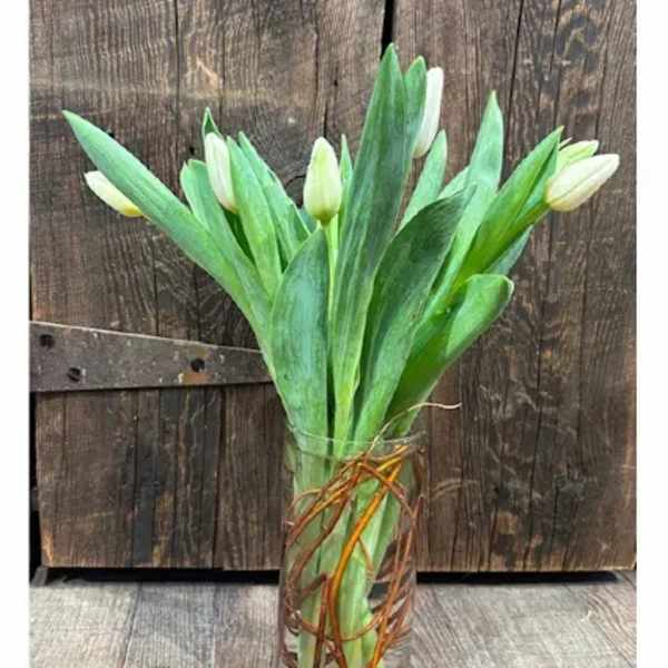 Tulips & Twigs