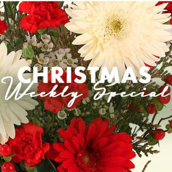 Christmas Arrangement Designer's Choice
