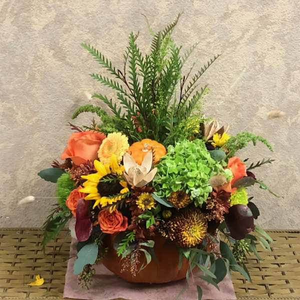 Happy Autumn