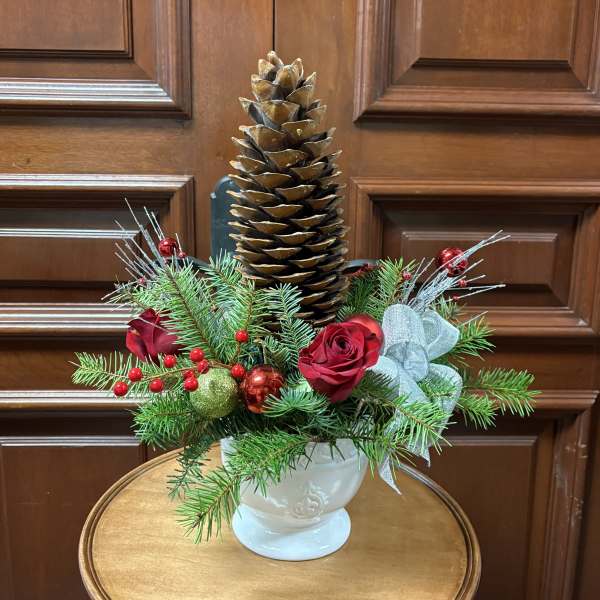 The Great Pine cone treasure