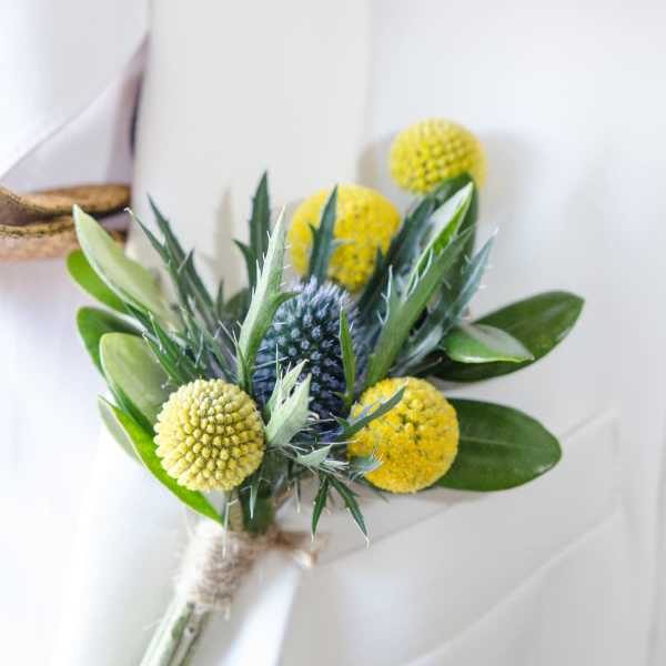 Thistle & Gold Bout