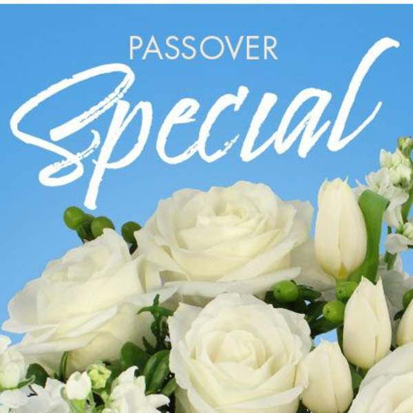 Passover Special Designer's Choice