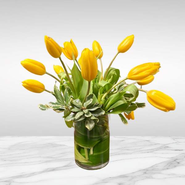 Sunny Yellow Tulips