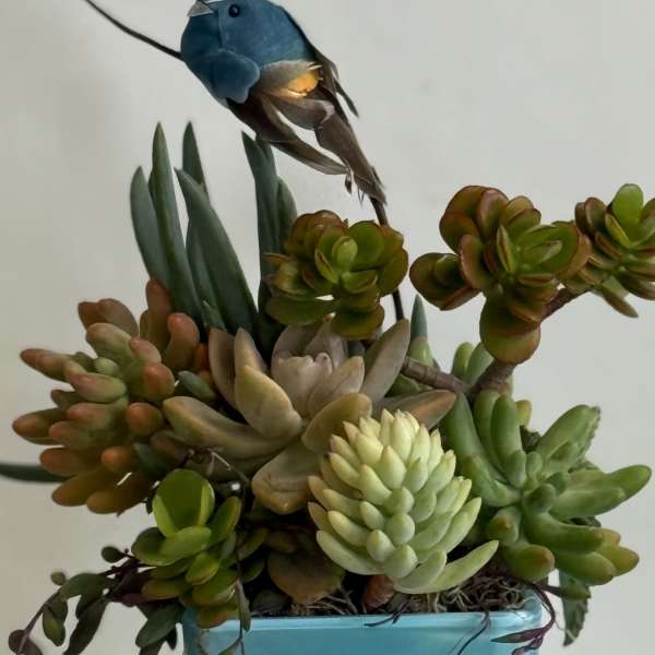 Succulent arrangement in a blue square vase with a small blue bird ornament