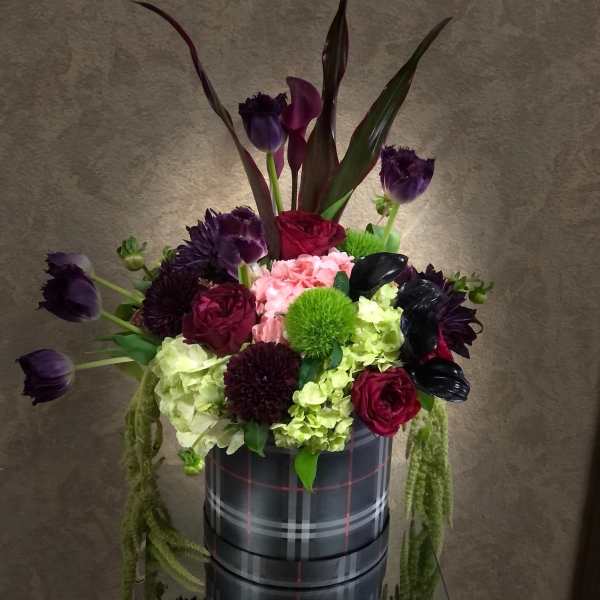 Plaid about You!