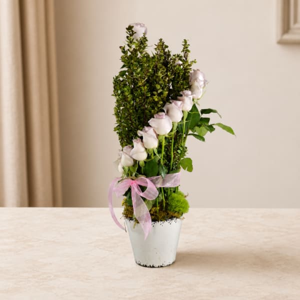 Tall arrangement of pale pink roses in a white pot with a pink ribbon