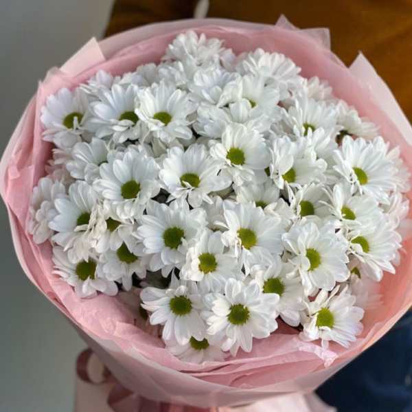 Bouquet of white daisies wrapped in pink paper