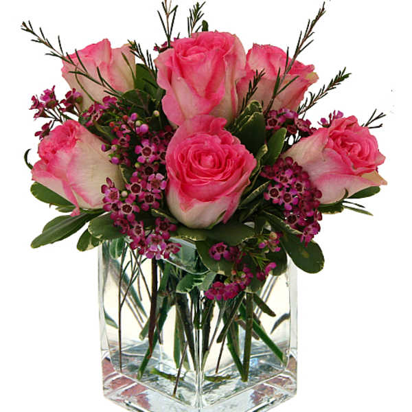 Six Pink Roses