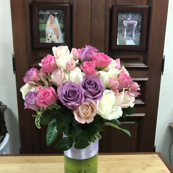 Rose Madness
