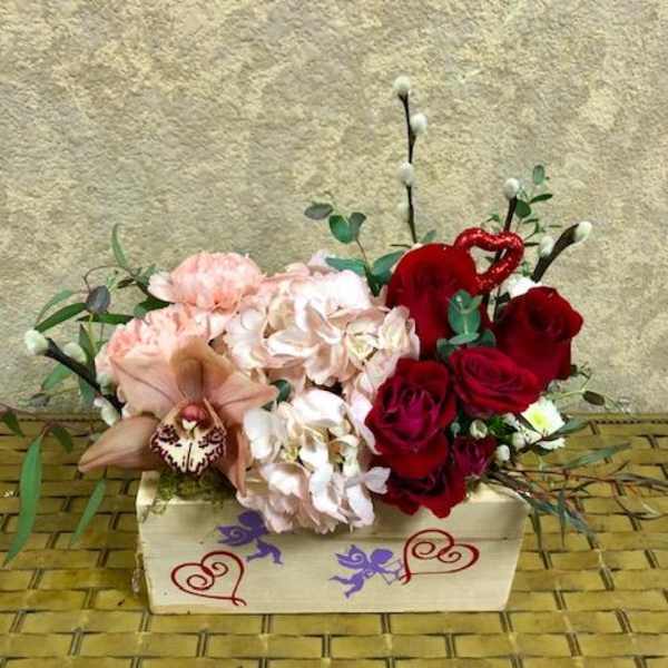 Cupid's Arrow with Hydrangea
