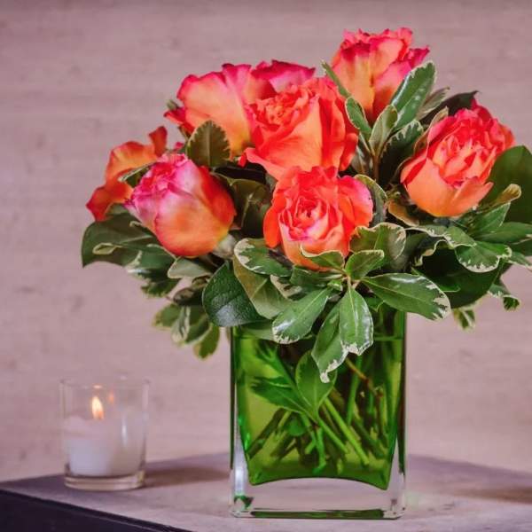 Simply Roses