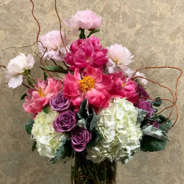 Holland Peonies