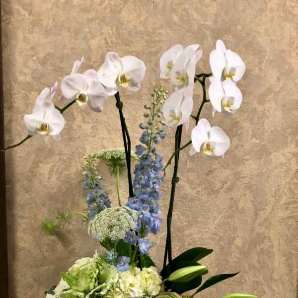 Earth Month Special