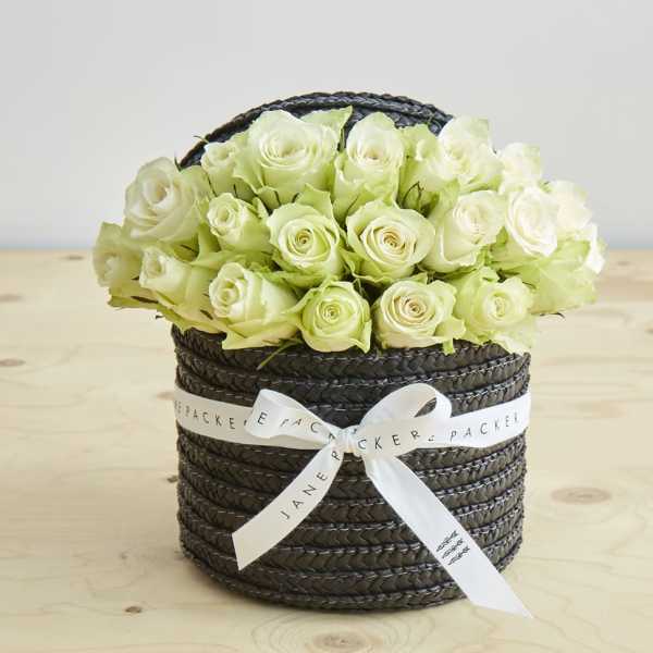 Chic Rose