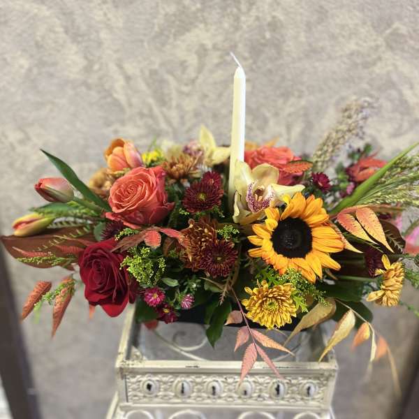 The Rudeneja Centerpiece