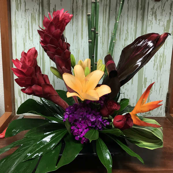 Tropicals