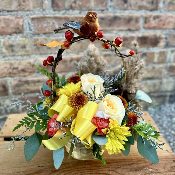 Fall Bird Song