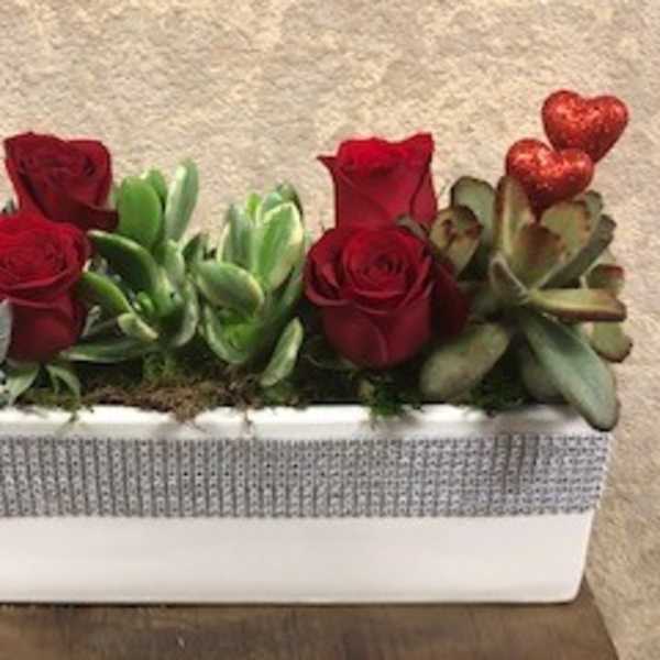 Garden of Love Succulent dish