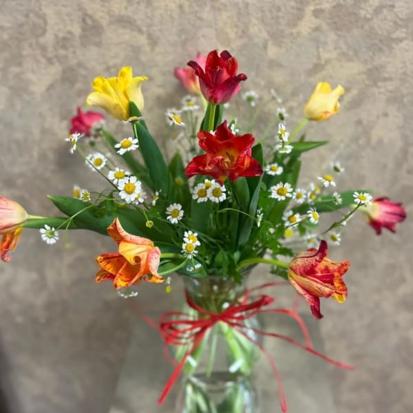 Radiant Tulips