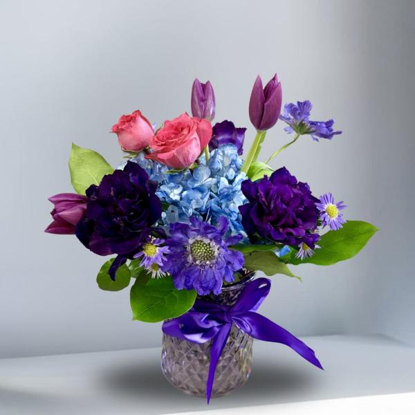 Velvet Scabiosa