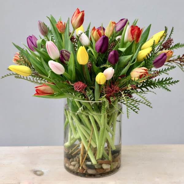 Rainbow Tulips - UC