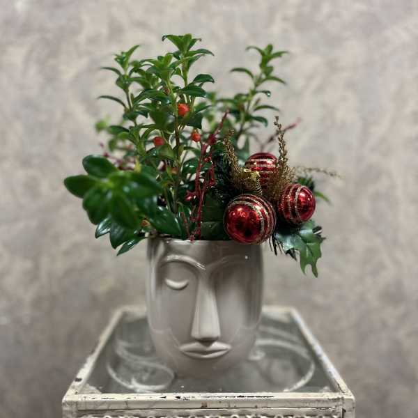 Holiday Goldfish plant with Ornaments