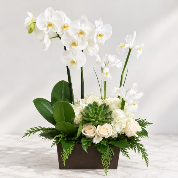 White orchids and roses arranged in a dark rectangular planter
