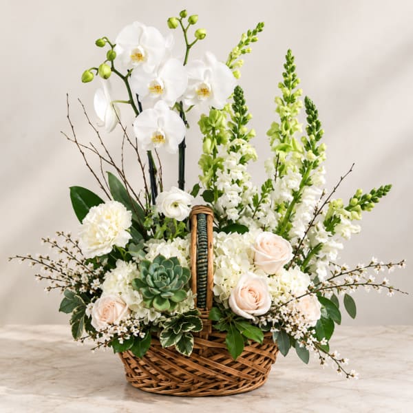 Basket arrangement with white orchids, roses, snapdragons, and a succulent