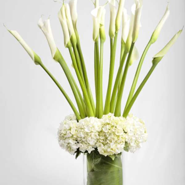 White calla lilies in a clear glass vase with white hydrangeas