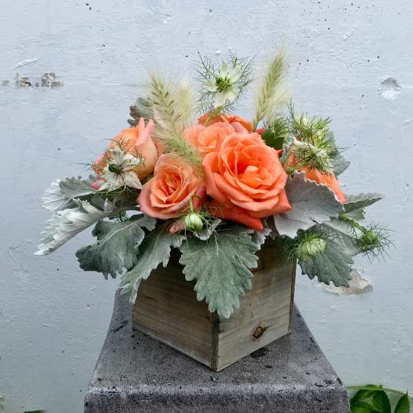 Peach roses in a wooden box with silvery foliage and airy white accents