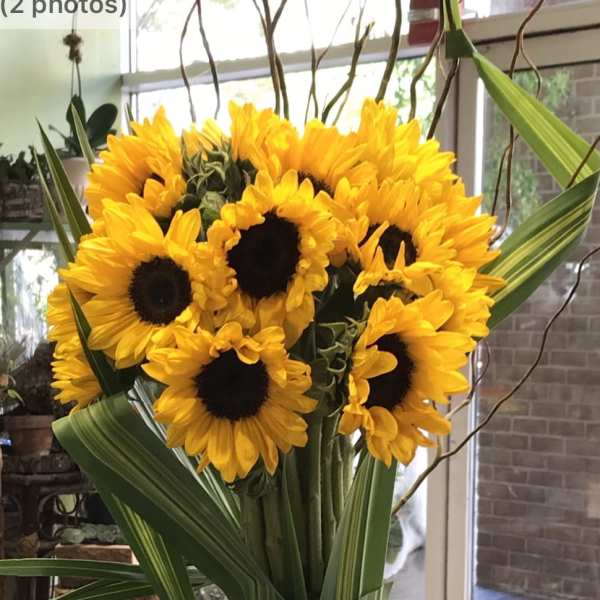 Hello Sunshine