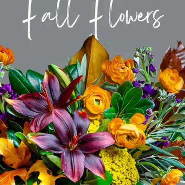 Fall Flowers