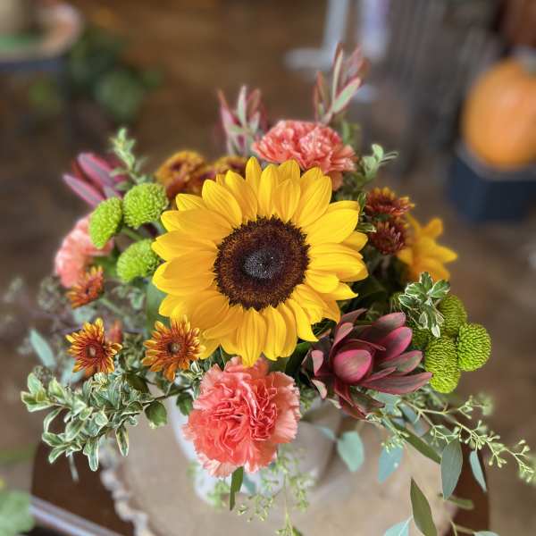 September Equinox