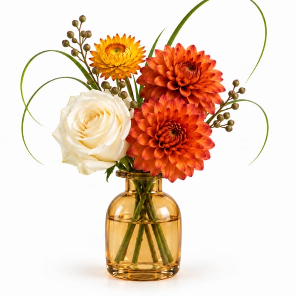 Orange dahlias and a white rose in an amber glass vase