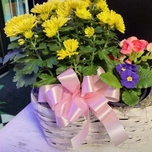 Basket of yellow and pink flowers with a pink ribbon