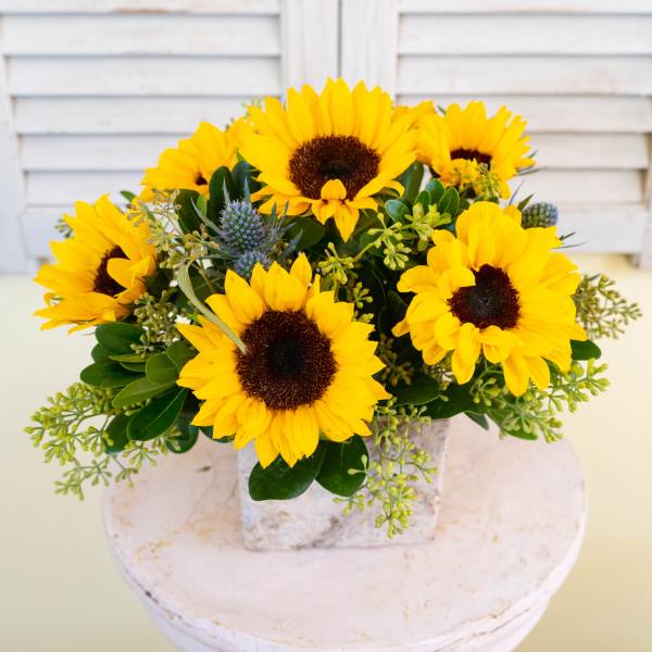 Bee Happy